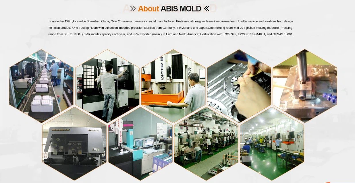 About ABIS mould About ABIS mould