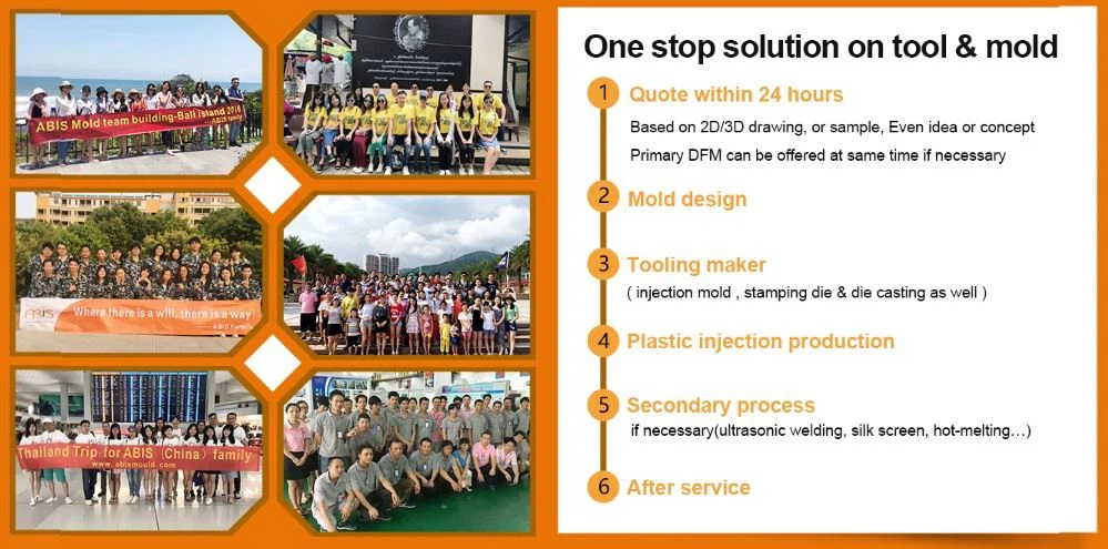 one stop solution on mold --ABIS one stop solution on mold --ABIS